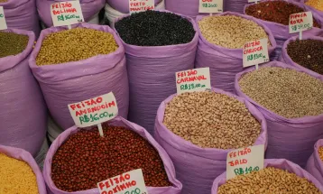 Paraná confirma novo recorde e liderança nacional na produção de feijão: 865 mil toneladas