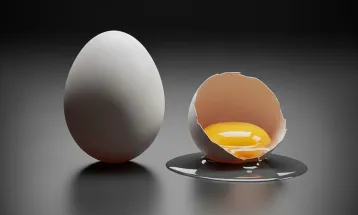 Média mundial de testículos por homem é menor do que se imagina