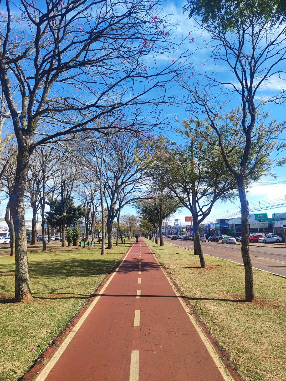 Últimos dias de fevereiro: tempo firme e temperaturas agradáveis em Cascavel