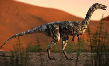 Parque do Ingá recebe exposição com réplica do fóssil do primeiro dinossauro do Paraná