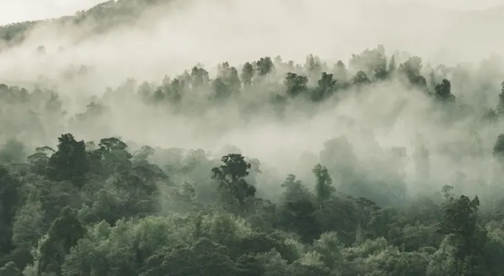 Frente fria deve trazer geada para áreas de serra; veja a previsão