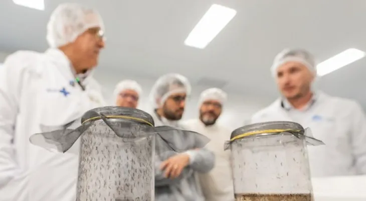 Ministério da Saúde inaugura a maior biofábrica de Wolbachia do mundo no Paraná