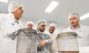 Ministério da Saúde inaugura a maior biofábrica de Wolbachia do mundo no Paraná