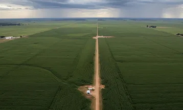 Faixa de fronteira: Congresso quer destravar regularização, mas texto é controverso