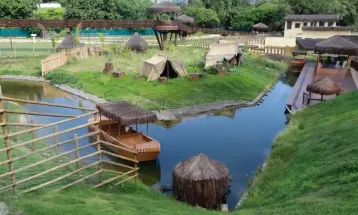 Gripe aviária mata galinhas-d'angola no Rio