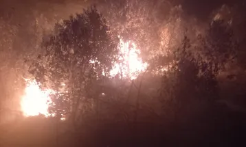 Incêndios florestais se espalham por Cascavel e Paraná vive "temporada do fogo"