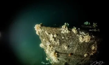 Navio naufragado na 1ª Guerra Mundial é encontrado 109 anos depois