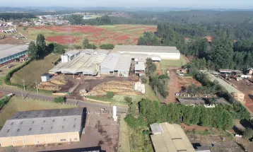 Empresa do Paraná irá demitir 100 funcionários por conta do tarifaço do Trump