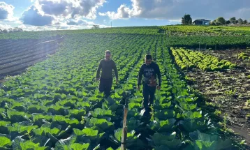 No Dia do Agricultor, Prefeitura de Guarapuava celebra quem move o campo e alimenta a cidade