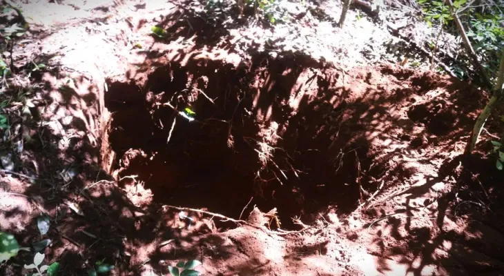Ossada que pode estar enterrada há mais de quatro anos é encontrada em matagal em Ponta Grossa