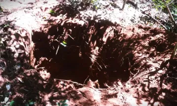 Ossada que pode estar enterrada há mais de quatro anos é encontrada em matagal em Ponta Grossa