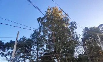 Terça-feira amanhece gelada em Cascavel