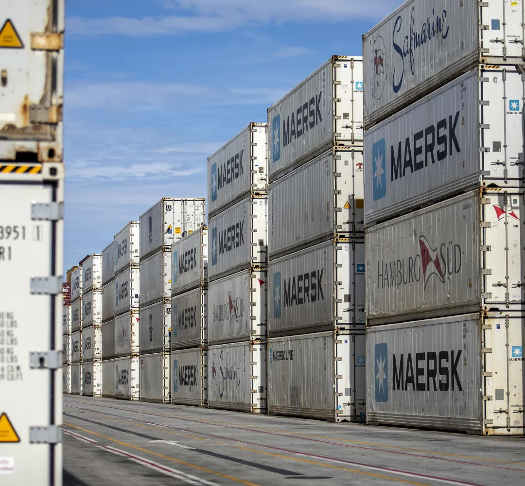 Governo Lula mapeia 12 projetos portuários com risco de parar na Justiça; Santos é o foco