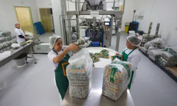 Desemprego cai para 5,6% e Brasil registra menor taxa desde o início da série histórica, diz IBGE