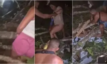 Árvore gigante cai sobre cabaré e casal é resgatado sem roupa