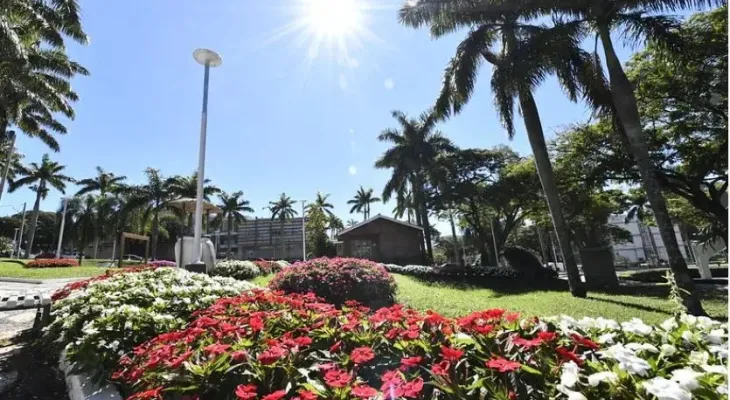 Paisagismo transforma Umuarama em referência estadual em beleza urbana