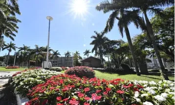 Paisagismo transforma Umuarama em referência estadual em beleza urbana