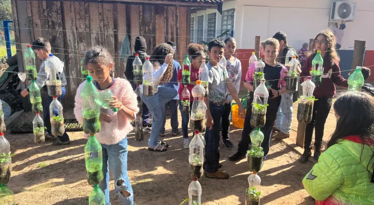 Alunos colhem primeiros morangos cultivados com práticas do Programa Agrinho