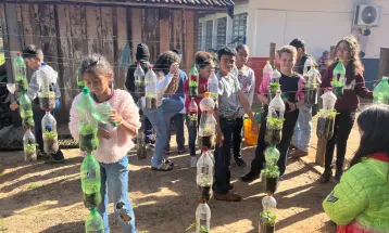 Alunos colhem primeiros morangos cultivados com práticas do Programa Agrinho