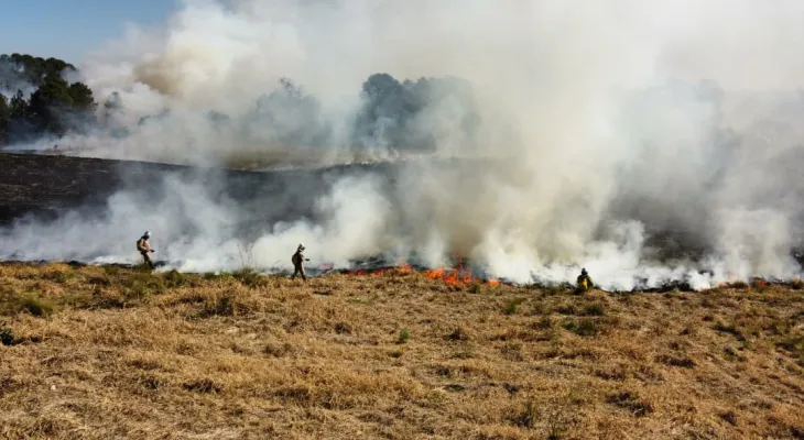 Fogo em lixo em terrenos baldios causa mais de 30% dos incêndios no Paraná