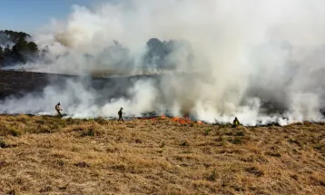 Fogo em lixo em terrenos baldios causa mais de 30% dos incêndios no Paraná