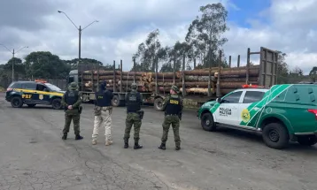 PRF e PM apreendem carreta com toras irregulares de Araucárias em Guarapuava