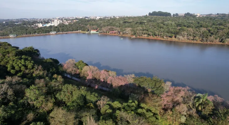 Prefeitura apresenta novo projeto para o entorno do Lago Municipal em audiência pública nesta sexta-feira (8)