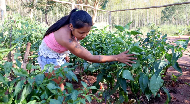 Famílias Avá-Guarani são assentadas em área adquirida com recursos da Itaipu