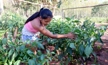 Famílias Avá-Guarani são assentadas em área adquirida com recursos da Itaipu