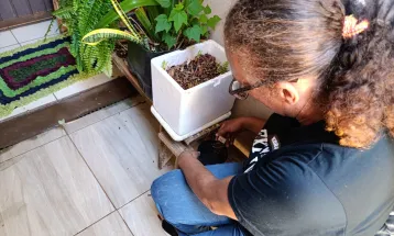 Será realizado neste sábado (8) o Dia D de Mobilização contra o mosquito Aedes aegypti