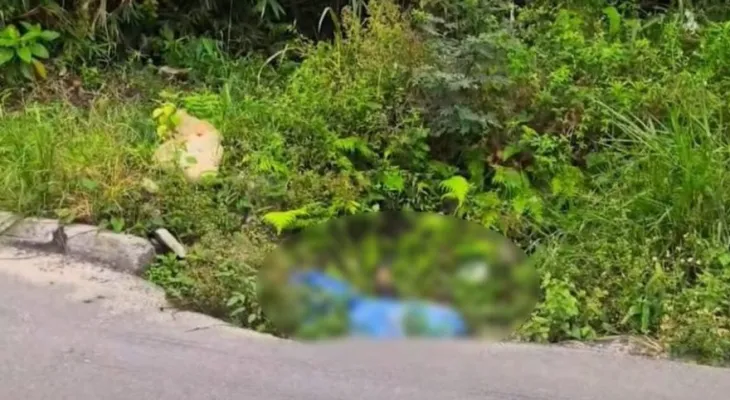 Corpo é encontrado enrolado em saco plástico e coberto por sofá às margens da BR-277, em Paranaguá