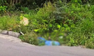 Corpo é encontrado enrolado em saco plástico e coberto por sofá às margens da BR-277, em Paranaguá