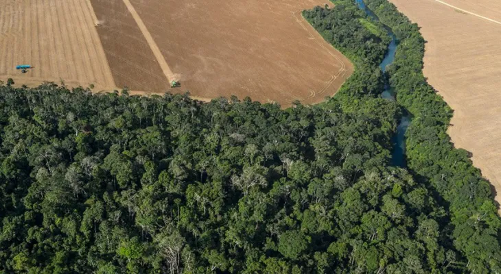 Leis do licenciamento ambiental são inconstitucionais, avalia DPU