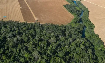 FAEP e Sindicato Rural criticam vetos ao novo licenciamento ambiental