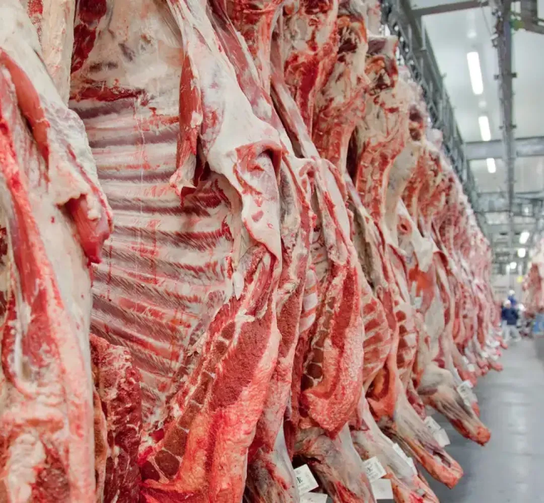 Veto europeu a carnes brasileiras ameaça exportações do Paraná