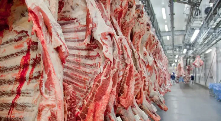 Exportação de carne bovina bate recorde em mês anterior ao tarifaço