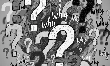 Entre Perguntas e Verdades