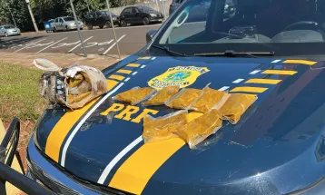 PRF apreende mais de 300 Kg de maconha e haxixe em Pato Branco