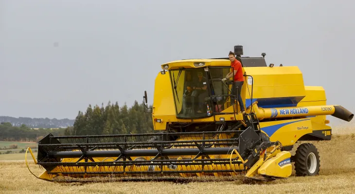 Salários da agropecuária do Paraná crescem no 2º trimestre e superam em 58% a média nacional