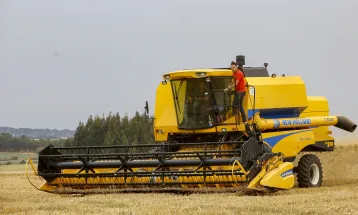 Salários da agropecuária do Paraná crescem no 2º trimestre e superam em 58% a média nacional