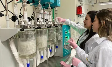 Unioeste desenvolve projeto para transformar resíduos de tilápia em colágeno