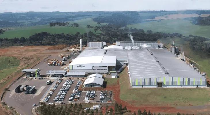 Empresa madeireira fecha unidade em Quedas do Iguaçu após taxação dos EUA