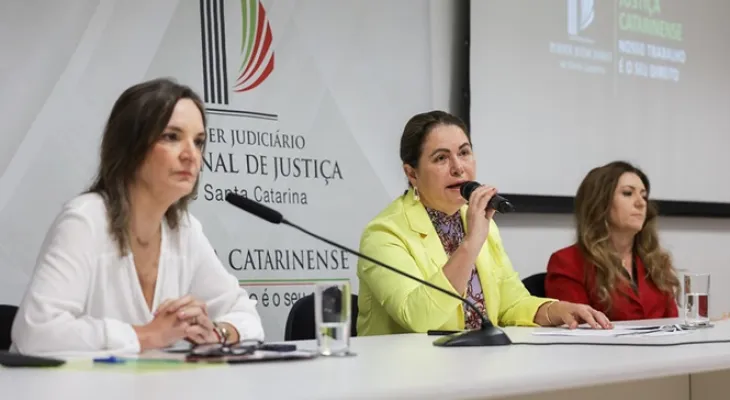 Violência doméstica leva 600 mulheres por semana a recorrer à Justiça catarinense em busca de proteção em SC