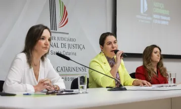 Violência doméstica leva 600 mulheres por semana a recorrer à Justiça catarinense em busca de proteção em SC