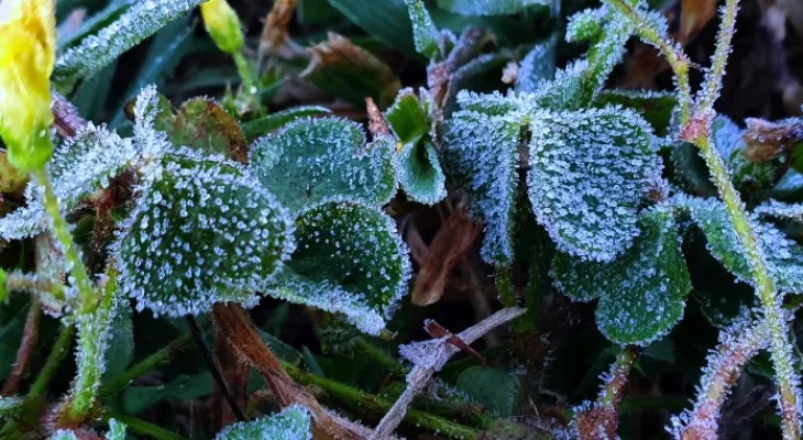 Frio volta ao Rio Grande do Sul com mínimas negativas