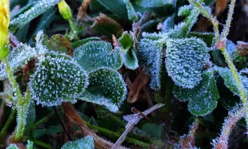 Frio volta ao Rio Grande do Sul com mínimas negativas