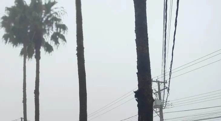Neblina, frio leve e chuva passageira marcam a terça-feira em Cascavel