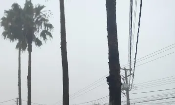 Neblina, frio leve e chuva passageira marcam a terça-feira em Cascavel