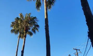 Quarta-feira ensolarada em Cascavel