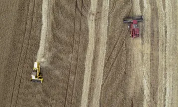 Primeira estimativa da safra 2025/26 mostra aumento na produção de soja e milho no Paraná